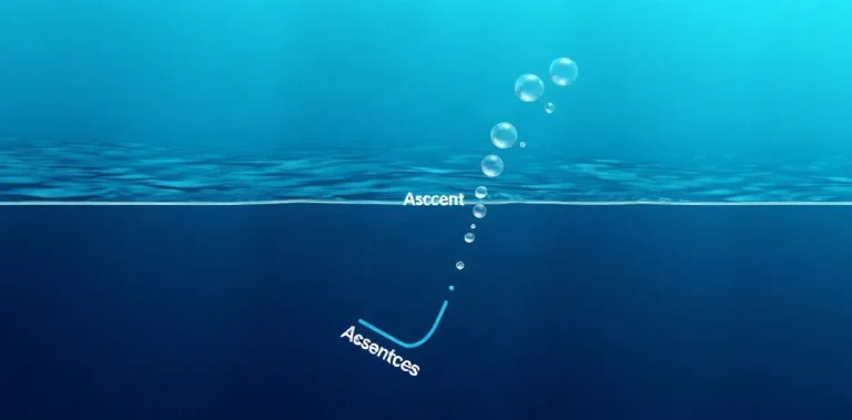 Hero illustration for the article “Provocative Dive Profiles and Acute DCI”