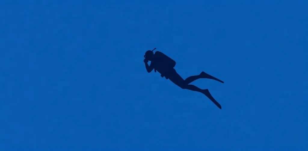 Hero illustration for the article “Effects of Cold Water Immersion on Diver Metabolism”