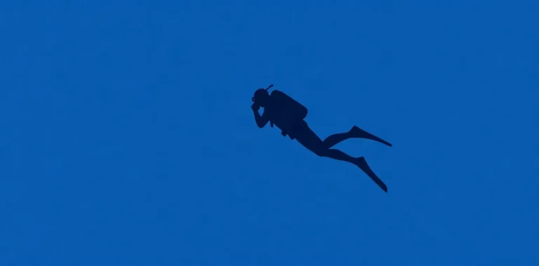 Hero illustration for the article “Effects of Cold Water Immersion on Diver Metabolism”