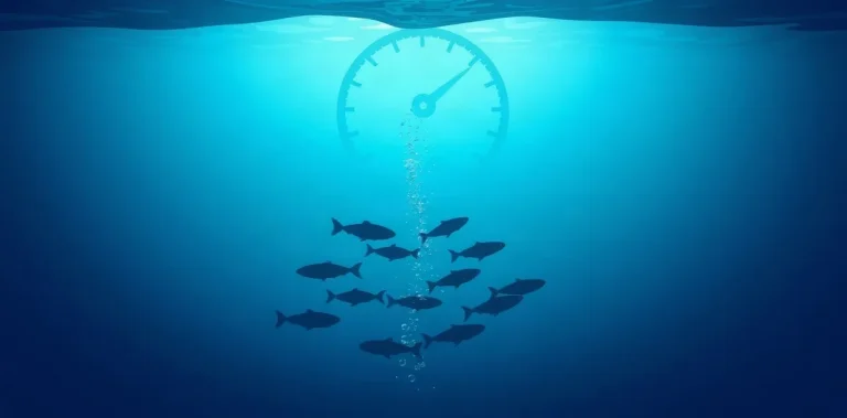 Hero illustration for the article “Bubble Formation and Decompression Sickness in Salmon”