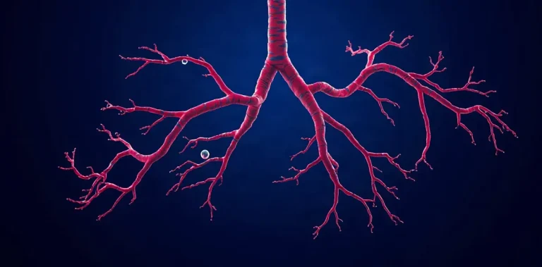 Hero illustration for the article “Bubble Formation in the Pulmonary Vasculature”